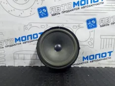 Динамик Volkswagen Tiguan 5N1 CAW