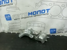 Петли дверные задние правые Renault Koleos HY0
