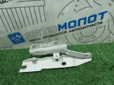 Петля капота BMW 5-Series E61 N52B25AF