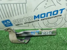 Петля капота Volkswagen Tiguan 5N1 CAW