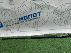 Амортизатор капота BMW 1-Series F20 N13B16A