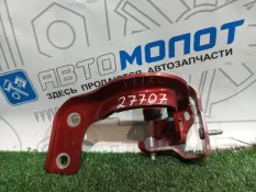 Петля багажника правая правая Audi Q5 8R CDN