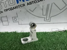 Петля двери Audi A6 C7 CHV