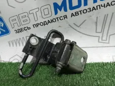 Петля двери задней задняя правая Volkswagen Passat