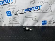 Форсунка топливная Volkswagen Passat 3C2 CAWB