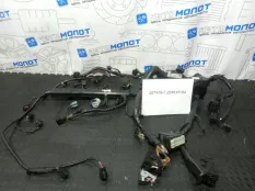 Проводка (коса) Kia Carnival KA4 D4HE 2.2