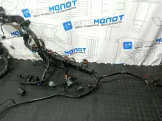 Проводка (коса) Kia Carnival KA4 D4HE 2.2