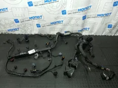 Проводка (коса) Kia Carnival KA4 D4HE 2.2