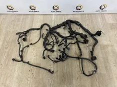 Проводка ДВС Nissan Juke