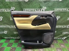 Обшивка боковой двери TOYOTA ALPHARD 2015-2020 6762058550C2, передняя левая