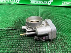 Дроссельная заслонка Chevrolet Trailbazer 2001-2009 12637737 LL8