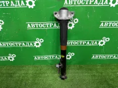 Амортизатор Lexus RX 2022-2026 485308Z220, задний правый