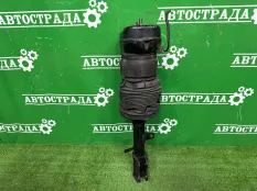 Амортизатор Lexus RX 2003-2008 4809048030, задний левый