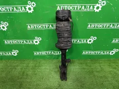 Амортизатор Lexus RX 2003-2008 4809048070, задний левый