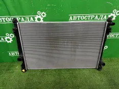 Радиатор двигателя Lexus NX 2021-2026 1640025130