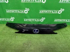 Накладка двери багажника Lexus NX 2017-2021 7681178030