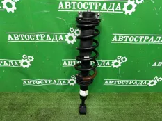 Амортизатор Toyota Land Cruiser Prado 2023-2026 4851069815 J250, передний