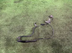 Датчик ABS Toyota Highlander 2013-2019 895430E080 U50, передний левый