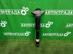 Амортизатор Lexus NX 2021-2026 4853079795, задний