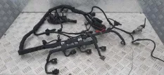 Проводка двигателя Chrysler PT Cruiser 2000-2010 2002 A6641500333 2.2 D EDJ