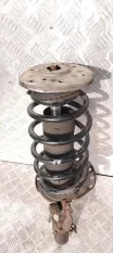 Амортизатор передний правый Land Rover Freelander II (2006-2014) 2007 6G9118045UAF ВНЕДОРОЖНИК 2.2 D 224DT