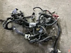 Проводка Jeep Liberty I (2001-2007) 2001 56044120AE 2.4 I ED1