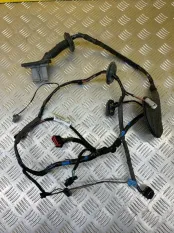 Проводка двери Land Rover Range Rover Sport I 2005-2013 2010 LR016226 3.0 D SDV6