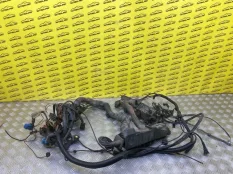 Проводка двигателя BMW 7-series E38 (1994-2001) 2000 12511438431