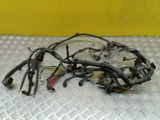 Проводка двигателя Geely Atlas I (2016-2023) 2019 1017025464 2.0 I