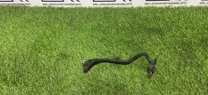 Крепления проводки подвески переднее левое Mercedes S-Класс W222 C217 A217