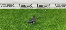 Датчик дорожного просвета Porsche Audi 4H0907503