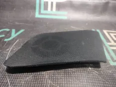 Накладка динамика правая BMW X5 E53 M57D30 306D2