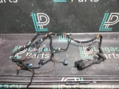Проводка двери передняя BMW X5 E53 M57D30 306D2