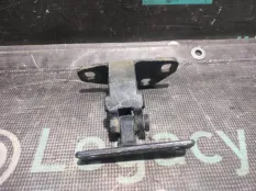 Петля крышки багажника BMW X5 E53 N62B44 2004