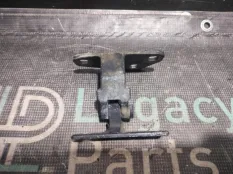 Петля крышки багажника BMW X5 E53 N62B44 2004