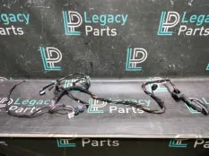 Проводка двери передняя BMW X5 E53 M57D30 306D2