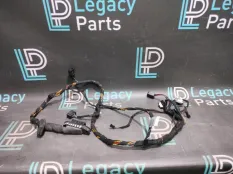 Проводка двери передняя BMW X5 E53 M57D30 306D2