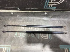 Амортизатор багажника BMW X5 E53 M57D30 306D2 2005