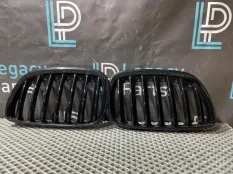 Решетки радиатора BMW X5 E53 N62B44 2004