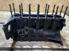 Блок цилиндров BMW X5 E53 M57D30 306D2 2004