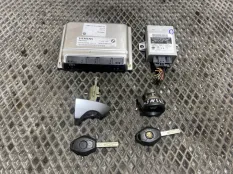 Комплект личинок BMW X5 E53 M54B30 306S3 2005