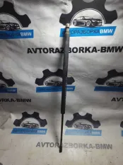 Амортизатор багажника BMW X5 E53 M57D30 306D1 2003