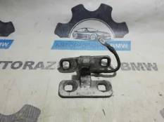Петля крышки багажника BMW X5 E53 M57D30 306D1