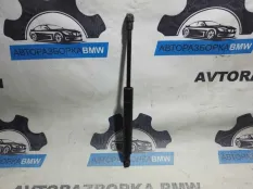 Амортизатор капота BMW X5 E53 M57D30 306D1 2003
