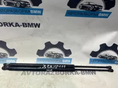 Амортизатор багажника BMW X5 E53 M57D30 306D2 2005