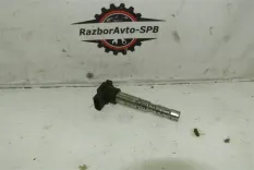 Катушка зажигания Audi A8 [D3,4E] 2004-2010