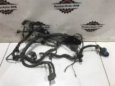 Проводка (коса) Ford Focus 2 дорест