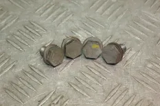 Болт маховика BMW X5 E53 рестайлинг (2003—2007)