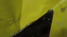 Капот renault duster