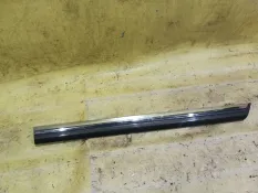 Молдинг двери Volkswagen Passat
